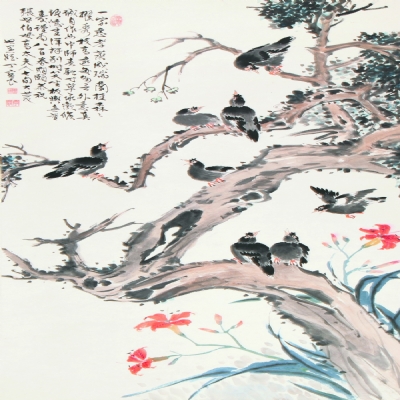 八哥