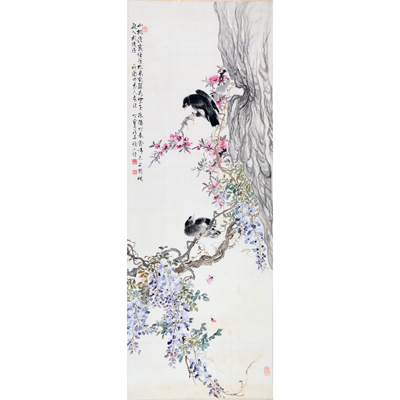 紫藤八哥