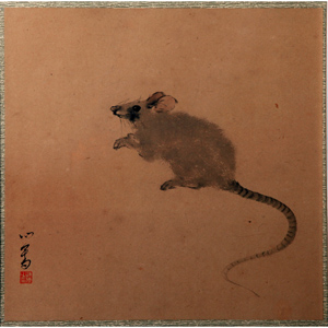 老鼠