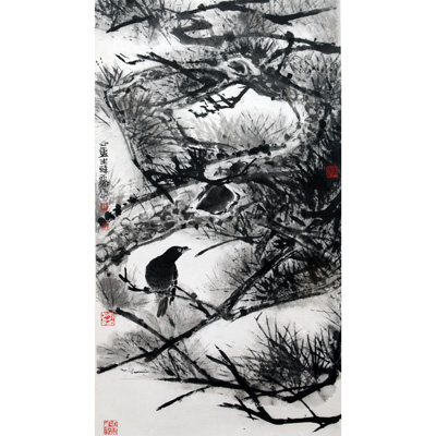 松树八哥