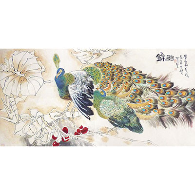 锦羽